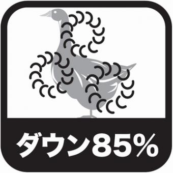 フランス産ダウン85%羽毛掛けふとん SL(150×210) | TWO-ONE STYLEネット